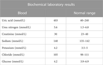 Detailed genetic and clinical analysis of a novel de novo variant in HPRT1: Case report of a female patient from Saudi Arabia with Lesch–Nyhan syndrome